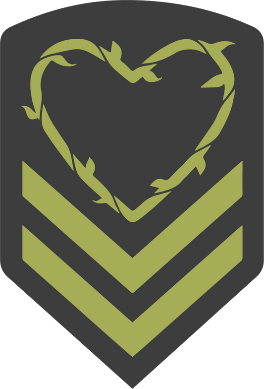 Donation to Heroic Hearts Project