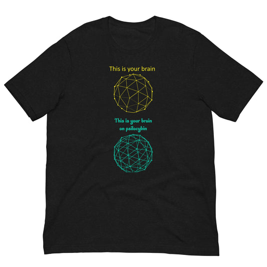 Brain On Psil*cybin