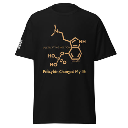 Psil*cybin Molecule