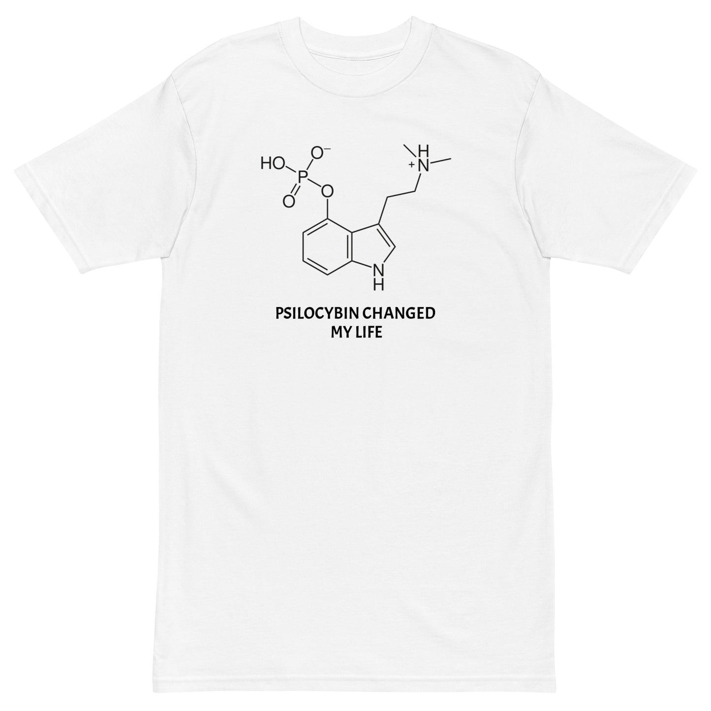 Psilo Molecule Men’s premium tee
